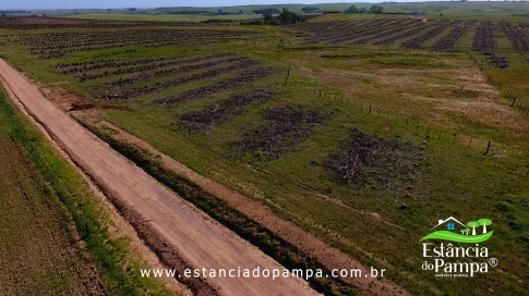 DOS EÓLICOS VIRA P FAZENDA_Moment.00_00_18_08.Quadro308_869c4cbb26bc7bfa31d42f8b6b3bd5fd24b462b1.jpg